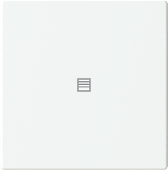 ABB Busch-Jaeger Trevion CPL V 1V drukknop jaloeziesymbool F/S -studiowit platform 63