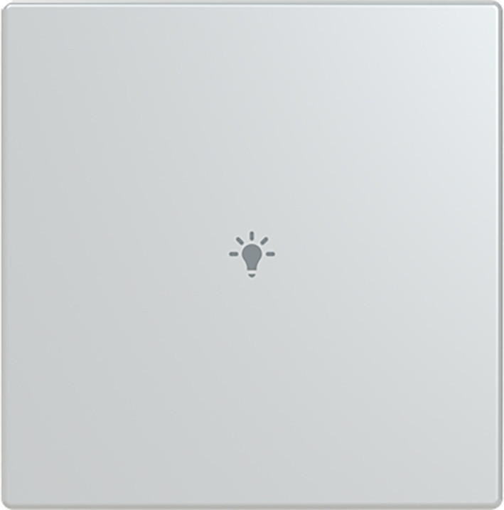 ABB Busch-Jaeger Trevion CPL V 1V drukknop lichtsymbool F/S -aluzilver platform 63