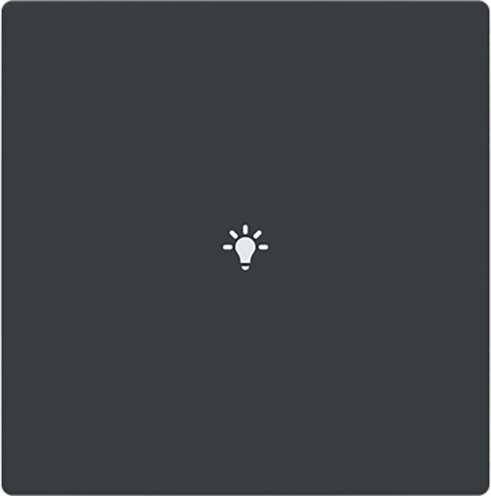 ABB Busch-Jaeger Trevion CPL V 1V drukknop lichtsymbool F/S -antraciet platform 63