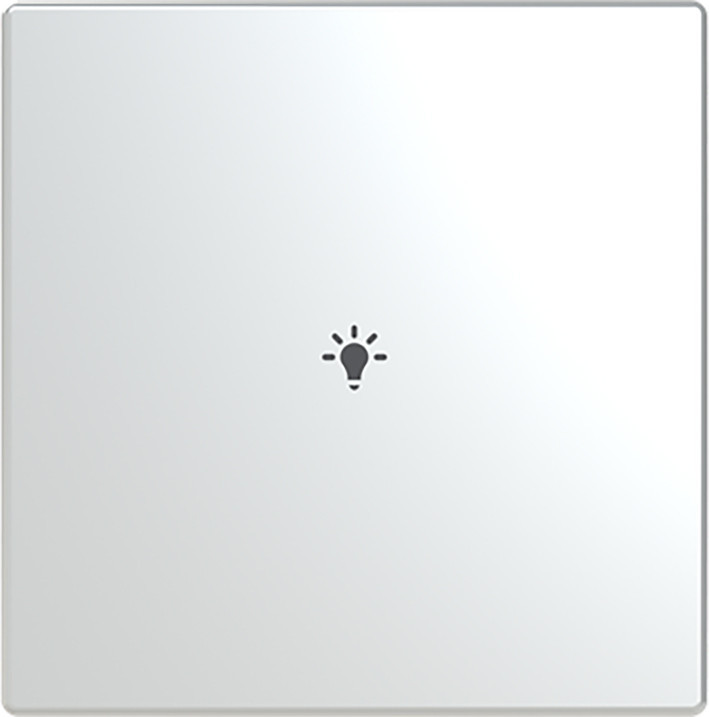 ABB Busch-Jaeger Trevion CPL V 1V drukknop lichtsymbool F/S -RVS platform 63