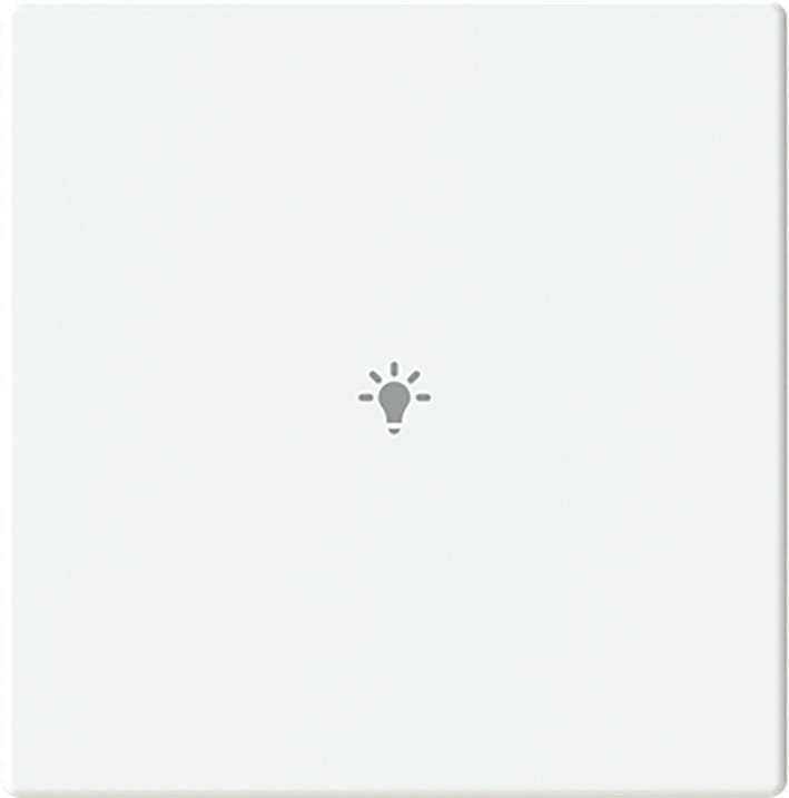 ABB Busch-Jaeger Trevion CPL V 1V drukknop lichtsymbool F/S -studiowit platform 63