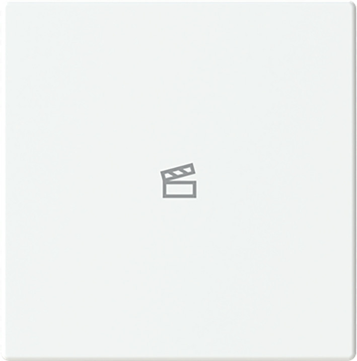 ABB Busch-Jaeger Trevion CPL V 1V drukknop scenesymbool F/S -studiowit platform 63