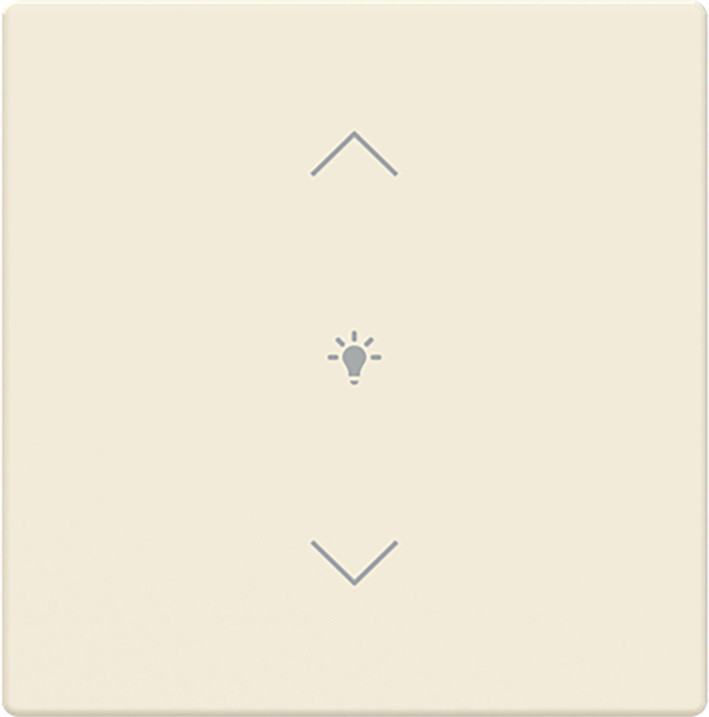 ABB Busch-Jaeger Trevion CPL V 1V wip dimsymbool F/S -ivoor platform 63