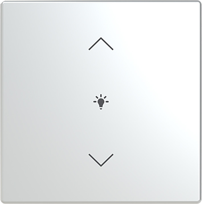 ABB Busch-Jaeger Trevion CPL V 1V wip dimsymbool F/S -RVS platform 63