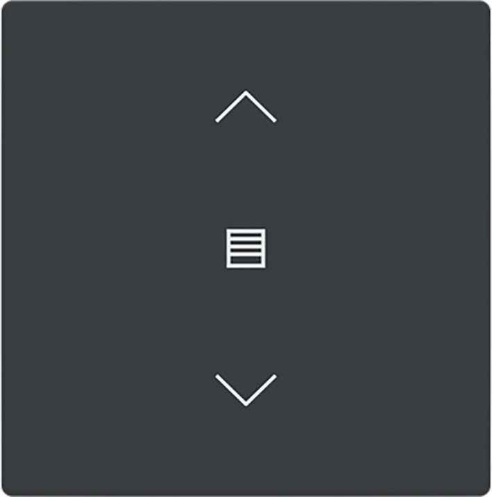 ABB Busch-Jaeger Trevion CPL V 1V wip jaloeziesymbool F/S -antraciet platform 63