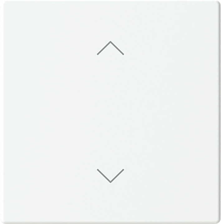 ABB Busch-Jaeger Trevion CPL V 1V wip omhoog/omlaag symbool F/S -matwit platform 63