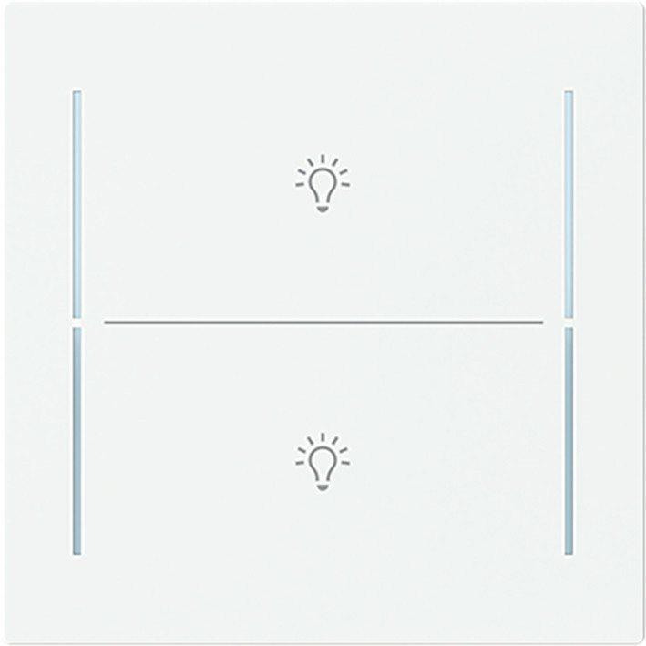 ABB Busch-Jaeger Trevion CPL V 2V drukknop lichtsymbool art-matwit
