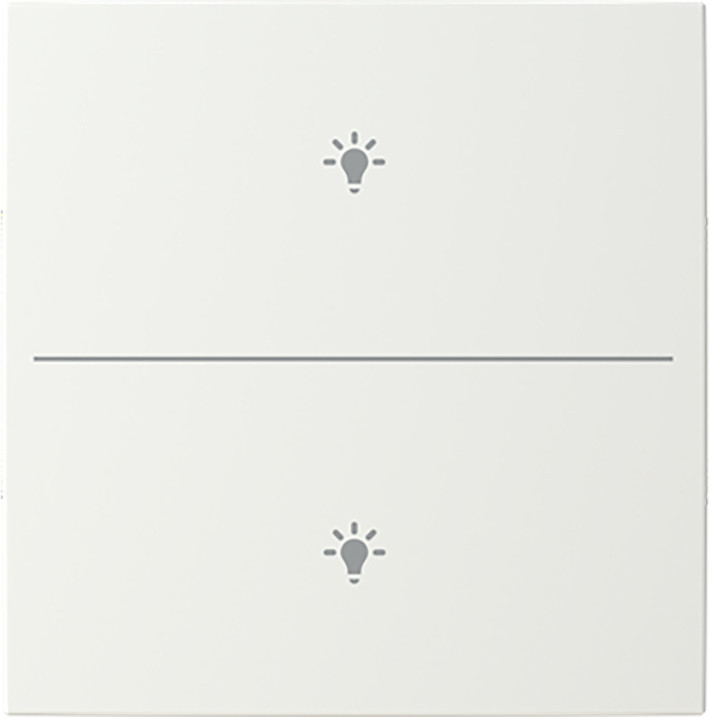 ABB Busch-Jaeger Trevion CPL V 2V drukknop lichtsymbool B-alpinwit