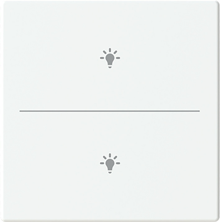 ABB Busch-Jaeger Trevion CPL V 2V drukknop lichtsymbool F/S -matwit platform 63