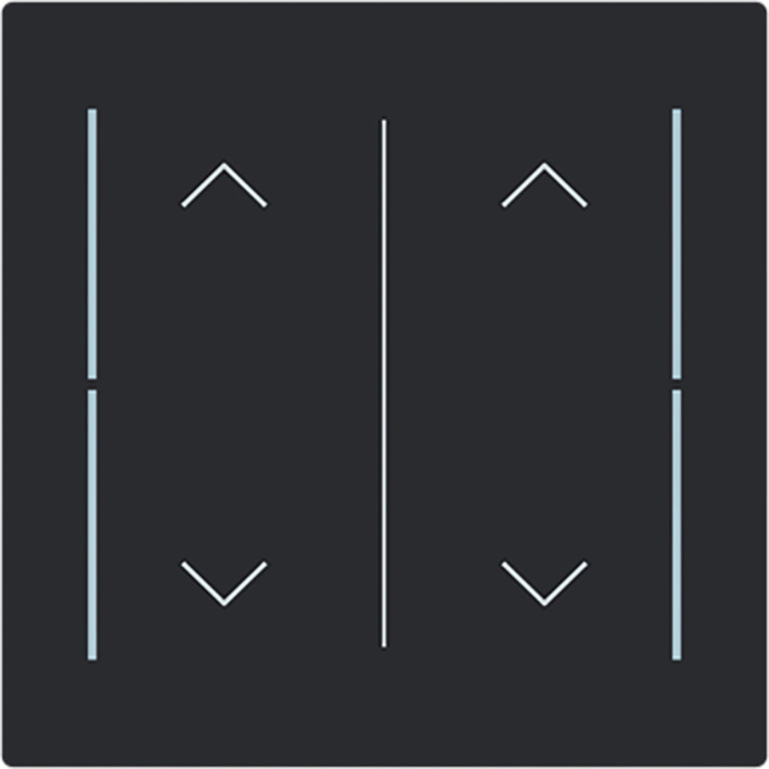 ABB Busch-Jaeger Trevion CPL V 2V wip omhoog/omlaag symbool art-matzwart