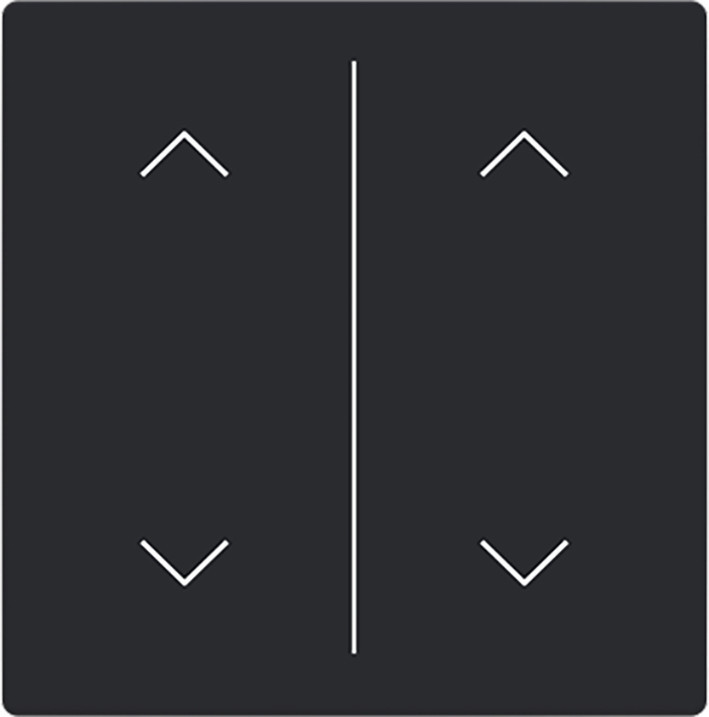 ABB Busch-Jaeger Trevion CPL V 2V wip omhoog/omlaag symbool F/S -matzwart platform 63