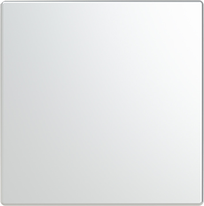 ABB Busch-Jaeger Trevion CPL V keypad 1V F/S -RVS platform 63