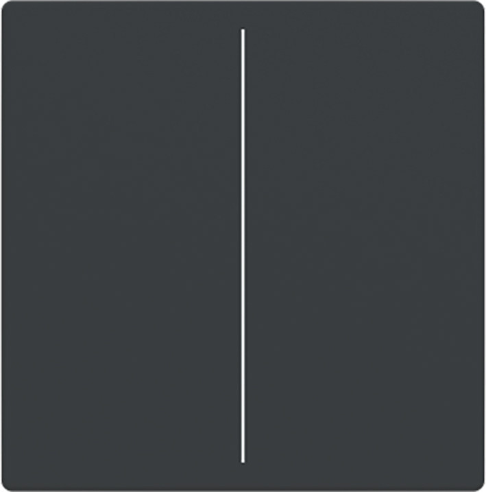 ABB Busch-Jaeger Trevion CPL V keypad 2V F/S -antraciet platform 63