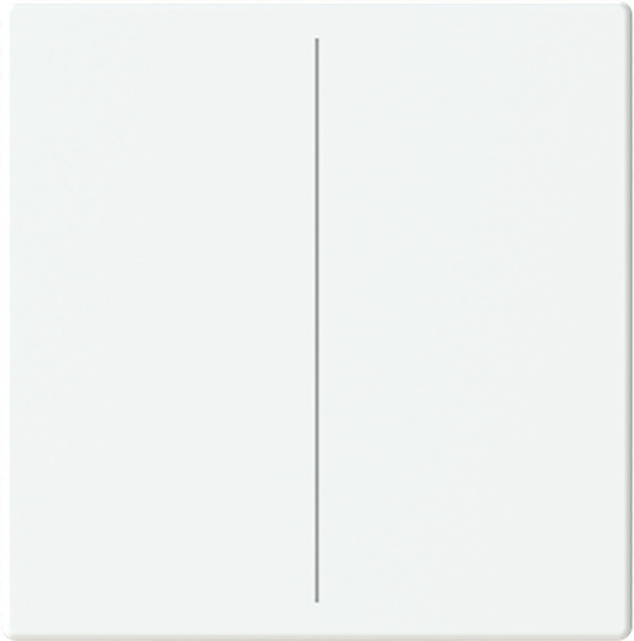 ABB Busch-Jaeger Trevion CPL V keypad 2V F/S -matwit platform 63