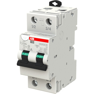 ABB Componenten AARDLAUTOMT DS202CR 2P C6