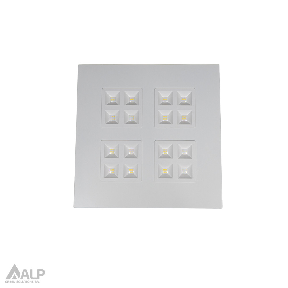 ALP Alp Easy Paneel 30W Easy paneel 30W 830 ugr<19 595x595mm wit