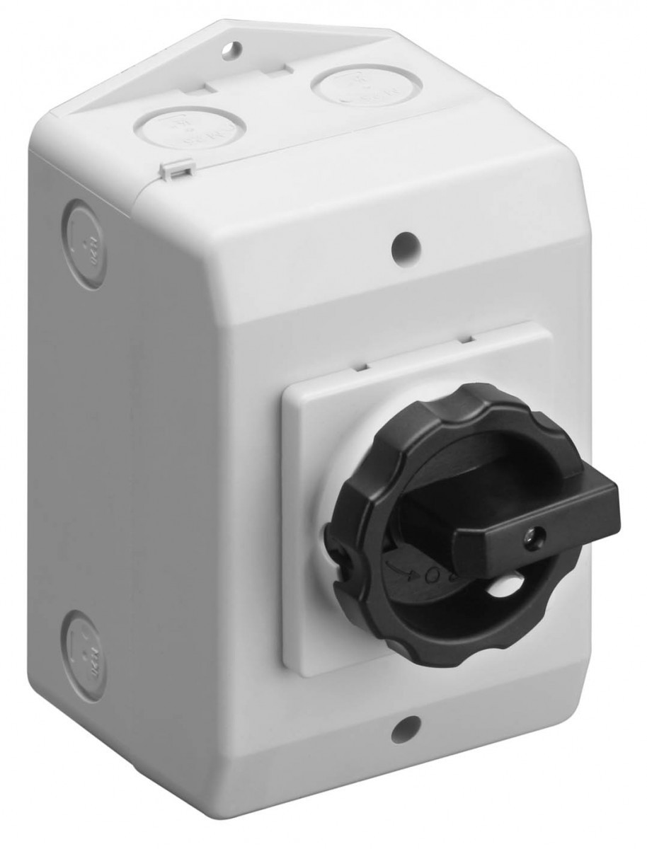 ASN RLO - Werkschakelaar Werkschakelaar 16a 3P opbouw ip65