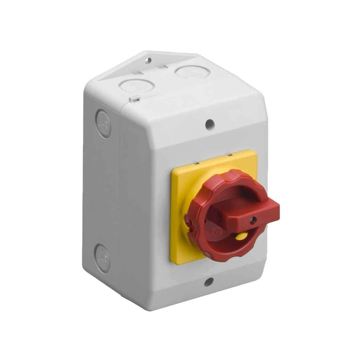 ASN RLO - Werkschakelaar Werkschakelaar 16a 2P opbouw ip65