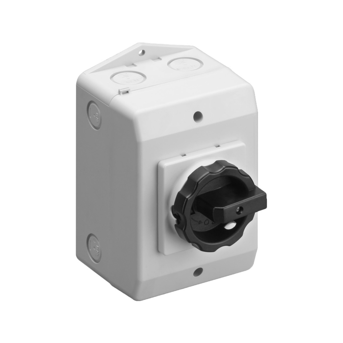 ASN RLT - Werkschakelaar Werkschakelaar 20a 6P opbouw ip65