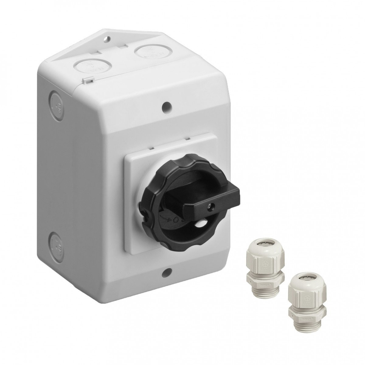 Asn Sontheimer lastscheider ip65 2P 25a