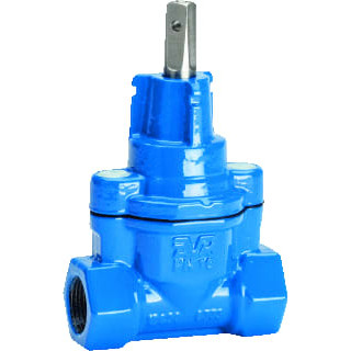 AVK DIENLEIDAF DN32 1¼" 03/00