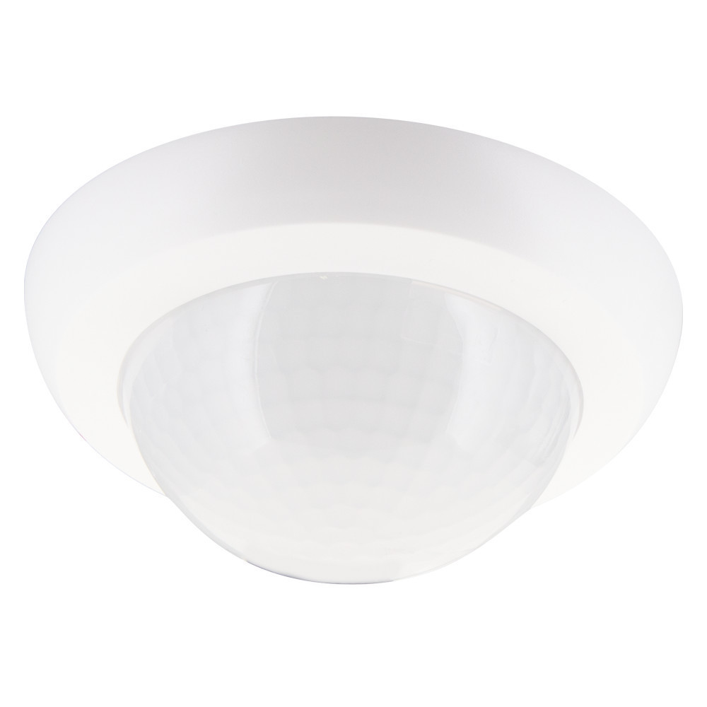 B.E.G.  93737 B.E.G.  93737