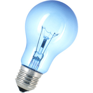 Bailey E27 PEER 60W DAGLICHT