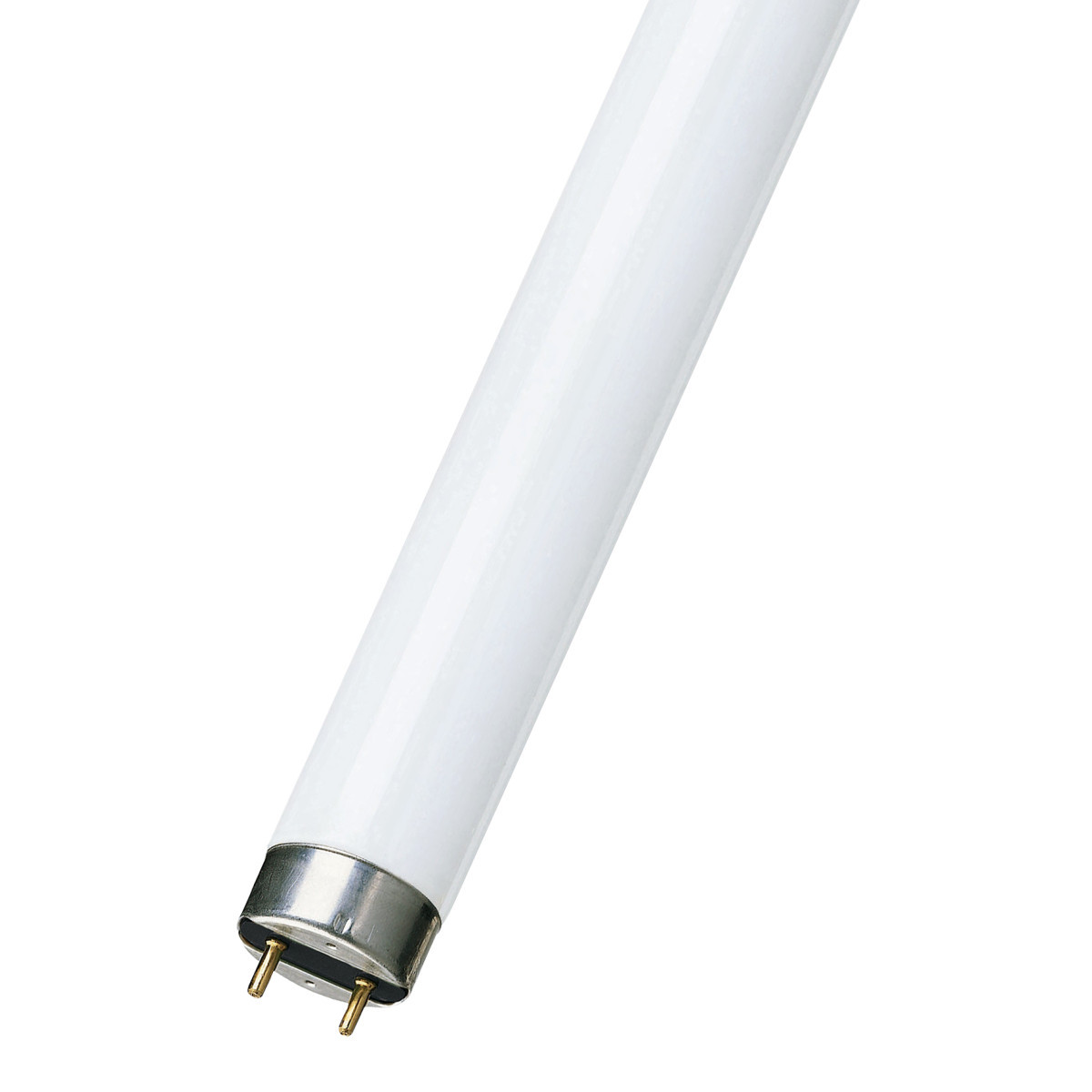 Bailey Fluorescent TL T8 G13 1200MM 36W 865