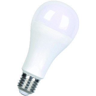 Bailey LED A67 E27 13W/865 OPAL