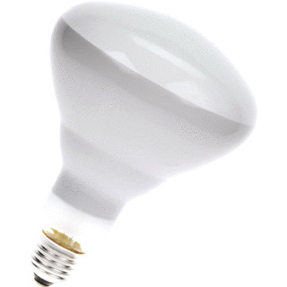 Bailey R125 E27 150W 240V FR