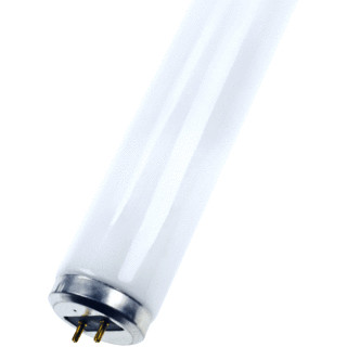 Bailey T12 40W/35 600MM F40W2/35