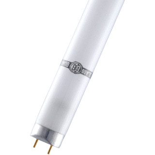 Bailey Special TL-buis gecoat 18W 600MM 3000K