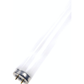 Bailey Uv-lamp TL-lamp G13 uv-A TL-buis