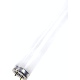 Bailey Uv-lamp G13 uv-A TL-buis