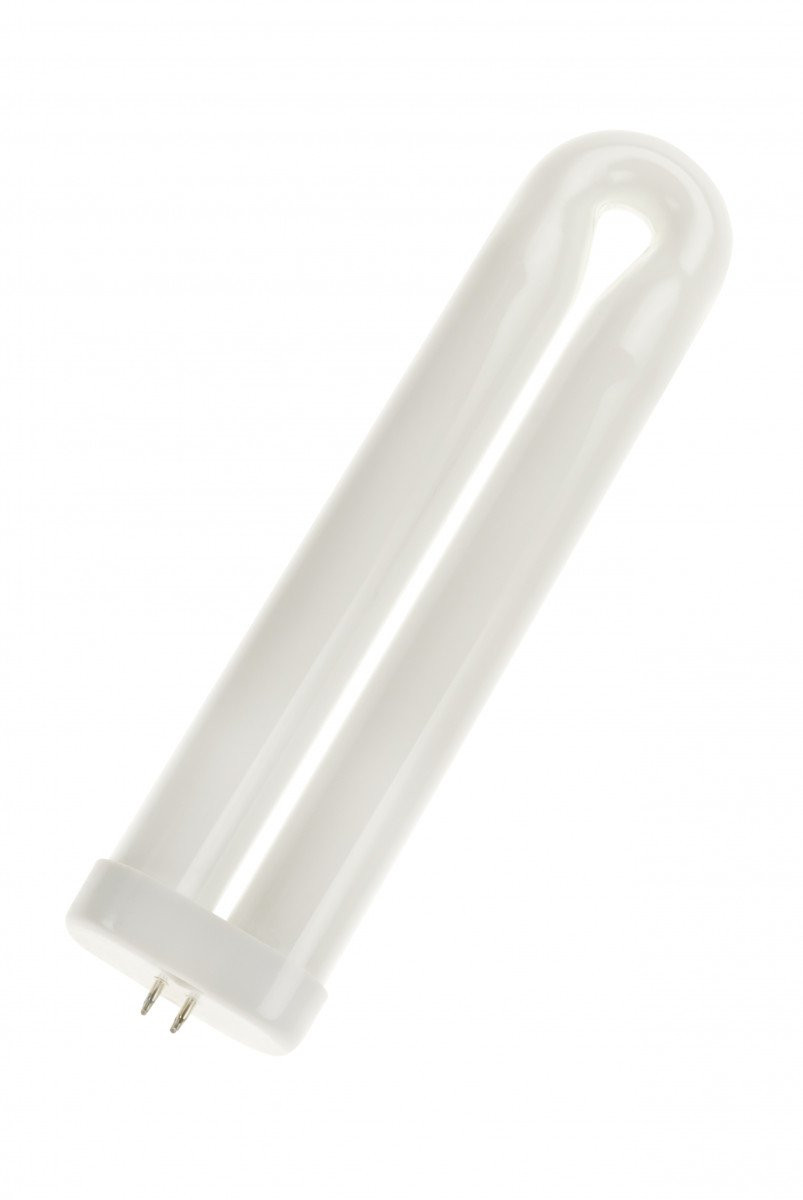 Bailey Uv-lamp 4 pins T8 G10Q uv-A compactfluorescentielamp