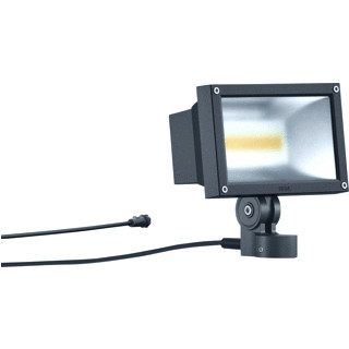 Bega VLAKSCHIJNWERP 84851K4