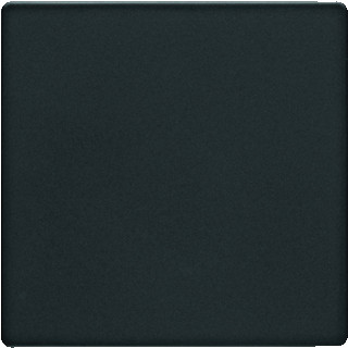 Berker Q.1/Q.3 onderdeel/centraalplaat blinddeksel centraalplaat kunststof antraciet