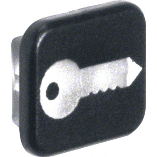 Berker Lens met sleutelsymbool (set van 10 ST.) W.1