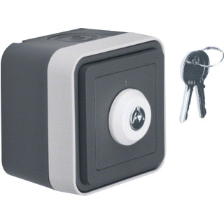 Berker Wisselschakelaar + behuizing sleutel 2P ip55