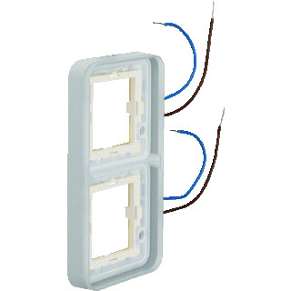 Berker W.1 afdekraam 2V horizontaal grijs ip55