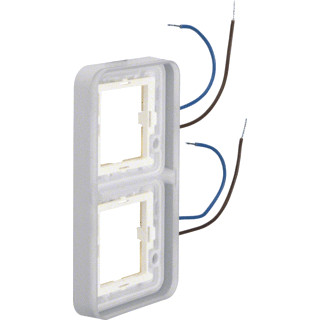 Berker W.1 afdekraam 2V horizontaal grijs ip55