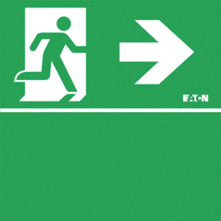 Eaton Blessing guideled pictogram noodverlichtingpijl iso plafond + groen vlak