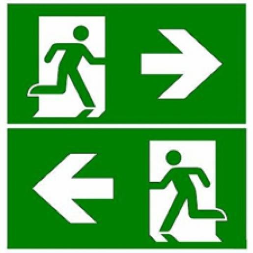 Eaton Blessing guideled pictogram noodverlichting iso plafond + plaat D
