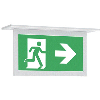 Eaton Blessing guideled noodverlichtingsarmatuur centraal adresseerbaar led ip40