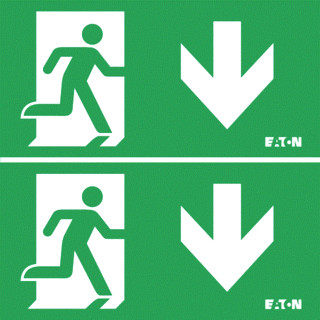 Eaton Blessing velos noodverlichting pictogram acrylglas plaat O-
