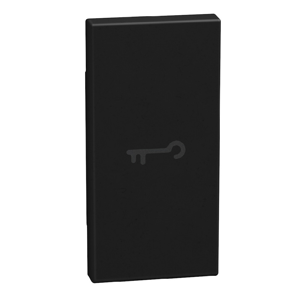 BTicino Schakelmateriaal Light Now axiale toets met pictogram sleutel 1 module - zwart