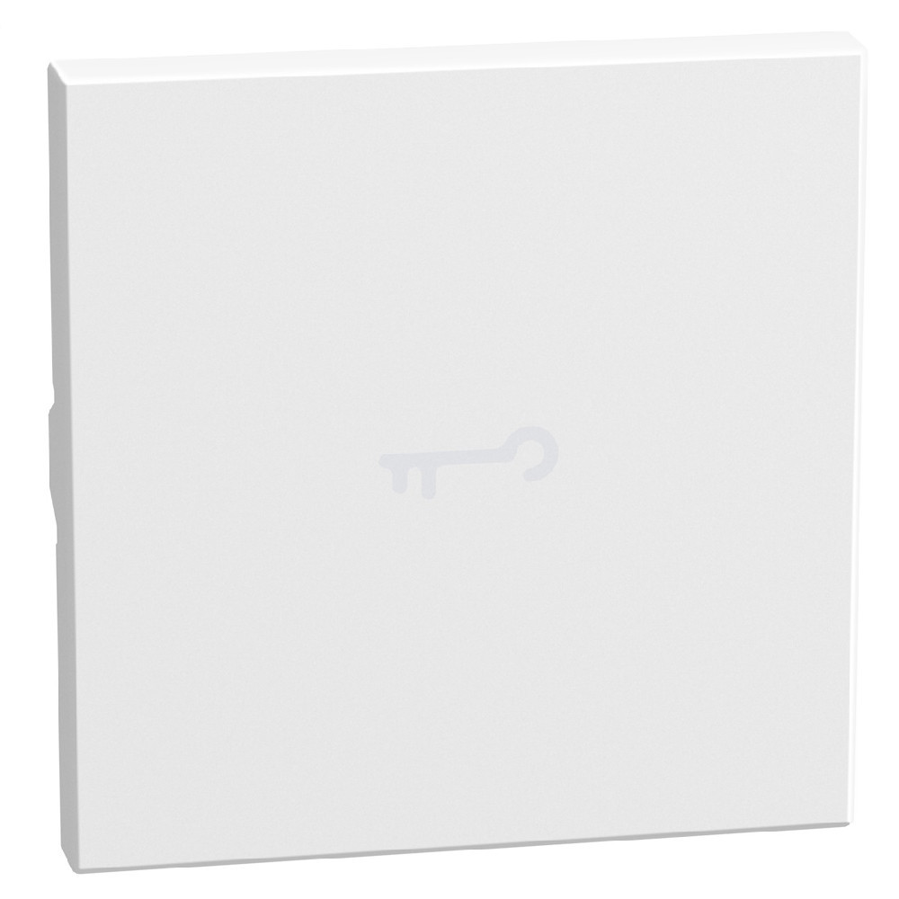BTicino Schakelmateriaal Light Now axiale toets met pictogram sleutel 2 modules - wit