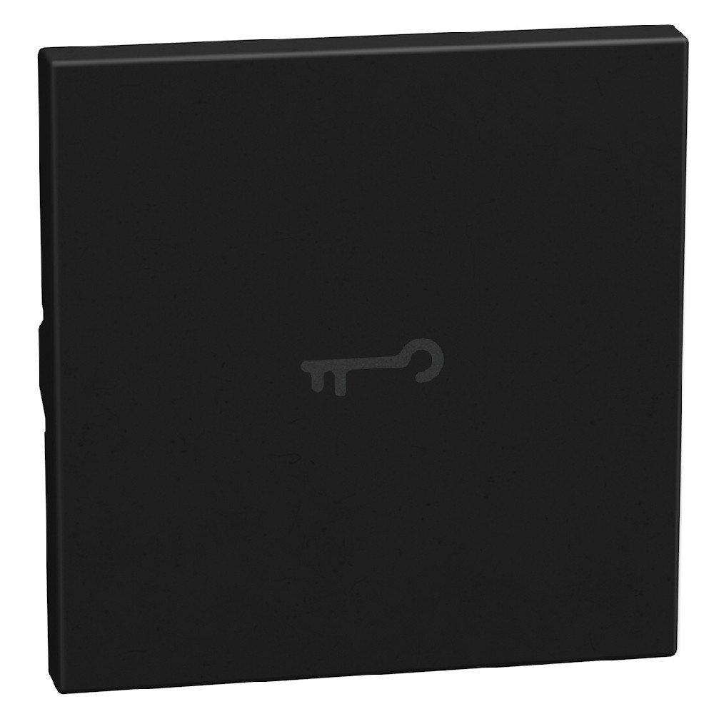 BTicino Schakelmateriaal Light Now axiale toets met pictogram sleutel 2 modules - zwart