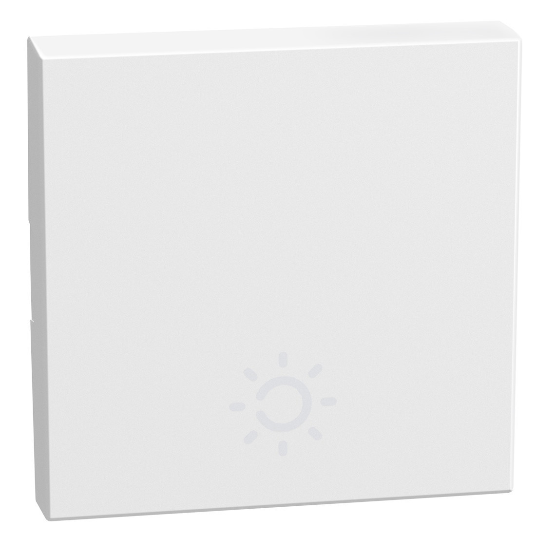 BTicino Schakelmateriaal Light Now toets met pictogram lamp 2 modules - wit