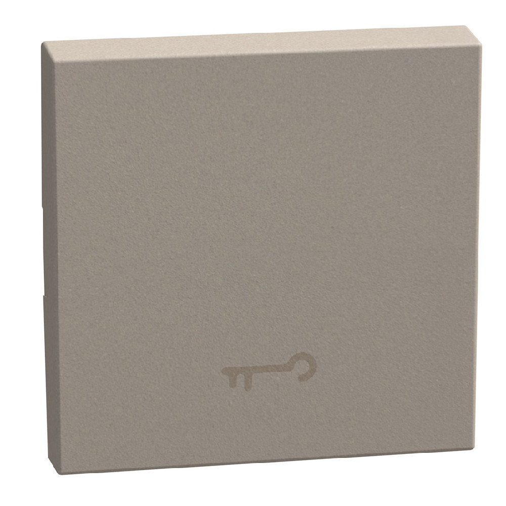 BTicino Schakelmateriaal Light Now toets met pictogram sleutel 2 modules - stone